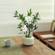 八芽小葉梔子花盆栽開花植物室內(nèi)桌面茶幾好養(yǎng)花卉綠植辦公室凈化空氣 小葉梔子花-陶瓷豎紋盆 帶盆栽好