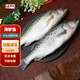 海升東新鮮海捕大鱸魚(yú) 冰凍海鱸魚(yú) 清蒸紅燒七星鱸魚(yú) 深海魚(yú) 生鮮 魚(yú)類(lèi) 3條裝海鱸魚(yú)（0.8-1斤/條）