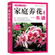 家庭養花一本通（新版）