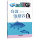 高效池塘養(yǎng)魚（雙色印刷）/高效養(yǎng)殖致富直通車