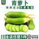 千牛優(yōu)福水果蘿卜約2斤 青新鮮蘿卜沙窩蘿卜甜脆生吃當季蔬菜