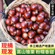 鮮合作（XIANHEZUO）【順豐發(fā)貨】2025年現(xiàn)摘福建特產(chǎn)建甌高山錐栗圓尖油栗子新鮮板栗 精選大果（2.3-2.6cm） 凈重3斤裝