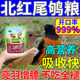 新寵之康北紅尾鳥食專用飼料尾鴝白頭翁長(zhǎng)尾四喜黑卷紅貝子石燕幼成期糧 500g 1袋 【全期肉糧】