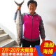 三座海 大鲅魚(yú) 海魚(yú) 馬鮫魚(yú) 魚(yú)類(lèi) 海鮮禮品 煙臺鲅魚(yú) 海鮮水產(chǎn) 海鮮禮盒 5斤/1條