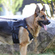MOEPIE德牧大狗K9戶外胸背帶2025狗背帶大型犬金毛杜賓拉布拉多牽引繩 黑色 L碼（胸圍72-100cm）