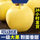 采緹黃元帥蘋(píng)果新鮮應季黃金帥蘋(píng)果粉蘋(píng)果水果黃蕉面黃色蘋(píng)果 黃元帥5斤（凈重4.5-5斤） 70mm（含）-75mm(不含)