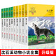 沈石溪動(dòng)物小說(shuō)全套品藏書(shū)系列10冊 狼王夢(mèng)套裝斑羚飛渡第七條獵狗最后一頭戰象四五六年級兒童文學(xué)書(shū)籍