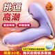 安可尼跳蛋情趣用品穿戴女性吮吸私處情侶互動(dòng)玩具遠(yuǎn)程成人靜音遙控外出