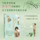 風(fēng)啊吹向我們（當(dāng)代著名作家《正是橙黃橘綠時(shí)》作者肖復(fù)興新作，關(guān)于友情的少年成長小說。）? 