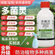 大富生多菌靈殺菌劑花卉植物通用多菌靈溶液多肉蘭花月季黑斑病 400g