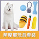 哇米薩摩耶專用玩具套裝耐咬發(fā)聲寵物狗磨牙玩具小型犬解悶幼犬用 薩摩耶玩具【六件套】