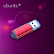 ubuntu系統u盤(pán)一鍵安裝啟動(dòng)Linux系統帶PE模式啟動(dòng)優(yōu)盤(pán)贈送軟件 Ubuntu20.04安裝盤(pán)  +winPE