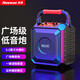 紐曼（Newmine）K220 無(wú)線藍(lán)牙音箱廣場(chǎng)舞音響戶外大音量便攜式低音炮家用K歌音樂播放器地?cái)倲[攤收款喇叭 標(biāo)準(zhǔn)版