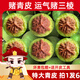 核桃文玩青皮手玩把件盤玩官帽白獅子手串秋子宮燈四座樓元寶批發(fā) 53-55mm四座樓獅子頭青皮6個(gè)