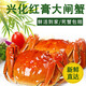 【活蟹】興化大閘蟹鮮活螃蟹現貨海鮮水產(chǎn)生鮮河蟹送禮禮品禮盒裝 全母蟹3.5兩8只