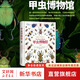 甲蟲博物館 博物文庫自然博物館叢書 甲蟲習(xí)性食性采集收藏鑒定方法 甲蟲研究參考書收藏愛好者工具書科普讀物