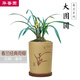 華香園綠植花卉 大團(tuán)圓 春蘭 蘭花苗 幽香型 不帶花苞辦公室內(nèi)盆栽盆景水培多肉耐陰綠植物綠植盆栽 大團(tuán)圓 一棵3苗 不帶花苞 裸根不帶盆