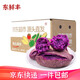京地達(dá)廣西紫羅蘭紫薯 凈重9斤單果150g+地瓜蔬菜早餐粗糧 源頭直發(fā)包郵