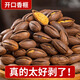 楓橋千年特好剝開口香榧2024年新貨香榧子罐裝諸暨楓橋特產(chǎn)堅(jiān)果干炒貨零食 【特好剝-開口香榧】原味2罐