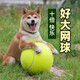 冇寵狗狗玩具球十倍快樂(lè )球超大網(wǎng)球24cm柴犬柯基法斗逗狗解悶寵物用品 綠/大球1個(gè) 配打氣筒