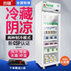 勁福 藥品陰涼柜 立式展示柜藥品冷藏柜藥品冰箱恒溫藥店冷柜單門(mén)雙門(mén)三門(mén)新GSP認證風(fēng)冷冰柜陳列柜 單門(mén)上置壓縮機【新款400#】
