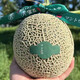 現(xiàn)貨覓雪蜜瓜日本品種海南產(chǎn)靜岡網(wǎng)紋蜜瓜超甜超多汁2個裝 玫瓏蜜瓜2只裝