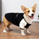 PELOMIC中型犬狗狗衣服秋冬款棒球衛(wèi)衣柯基衣服寵物運(yùn)動(dòng)服飾保暖冬裝狗服 黑色 XL 胸圍70cm背長(zhǎng)48cm體重22-30斤