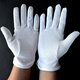 藍巨人全純白棉布手套禮儀點(diǎn)塑滴塑防滑手套 耐磨開(kāi)車(chē)檢查文玩作業(yè) （10付裝）棉汗布帶點(diǎn)膠顆粒男女工用