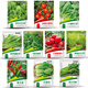 花沃里10款蔬菜種子套裝1 蘿卜種子白菜生菜番茄油麥朝天椒陽(yáng)臺庭院種籽