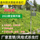 鑫科陽太陽能殺蟲燈戶外果園茶園菜園捕誘蟲燈滅蟲滅蛾燈誘蟲燈黑光燈 太陽能板全不銹鋼風吸式