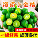 臻亦尚海南小青桔水果奶茶新鮮應季整箱批發(fā)檸檬果小青桔小青檸優(yōu)選裝2斤