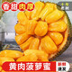 探味君 海南黃肉菠蘿蜜 整個(gè) 熱帶三亞木菠蘿當(dāng)季新鮮水果帶箱 13-18斤