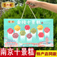 仁爾齋南京特產(chǎn)特產(chǎn)店有售禮盒金陵十景糕夫子廟傳統糕點(diǎn)心伴手禮組合