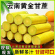 灃御園云南黃金甘蔗 脆薄皮可手撕現砍黃皮甘蔗黃皮新鮮水果 9斤裝