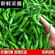 湖南小辣椒新鮮虎皮青椒正宗農(nóng)家辣椒皺軟皮嫩辣椒青椒現(xiàn)貨 5斤