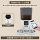 PAPIFEED貓咪智能雙碗喂食器貓糧自動(dòng)定時(shí)定量狗糧投食機wifi遠程寵物喂食 雙碗喂食器WiFi+小熊wifi攝像頭