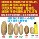 妙靈閣千眼菩提子原籽風(fēng)化超大果紅紋果星月菩提果手把件手串原料 稀有千眼菩提陰皮果原籽-長(zhǎng)形的2粒 長(zhǎng)4-6cm-精挑菩提//砂紙