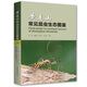 黃連山常見(jiàn)昆蟲(chóng)生態(tài)圖鑒