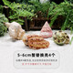 寄居蟹替換殼～房子大號小號天然貝殼海螺殼擺件裝飾魚(yú)缸造景備用 5-6cm蟹替換殼 4個(gè)【組合裝A】