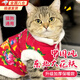 曇蓓漫貓咪衣服過(guò)年狗狗衣服泰迪冬天保暖布偶貓花棉襖新年唐裝寵物衣服 東北大花棉襖L碼（建議8-11斤) 【升級(jí)加厚保暖款】