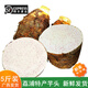蔬果哆 新鮮蔬菜 廣西桂林 荔浦縣特產(chǎn)芋頭 粉面芋頭 (五斤) 約3-5個