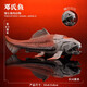 兒童玩具仿真動物模型史前時代深海洋生物遠古巨獸認知魚擺件手辦 鄧氏魚