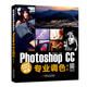 數(shù)碼攝影后期處理秘笈：Photoshop CC專業(yè)調(diào)色（第2版）