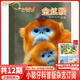 小聰仔2025年全年雜志訂閱10月起訂科普版雜志 少兒益智科普期刊 開發(fā)智力增長知識兒童期刊
