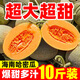 哈蜜瓜新鮮水果10斤裝網(wǎng)紋蜜瓜當季香甜脆甜曉蜜西州蜜哈密瓜 哈密瓜 3斤(約1-2個)