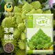 鳳鳴雅世寶塔花椰菜種子羅馬菜花種子四季蔬菜種孑綠寶塔菜花種子20粒