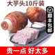 南方美農（官方授權）正宗廣西荔浦芋頭新鮮香芋果蔬粉糯香大芋頭產(chǎn)地直發(fā) 10斤5個(gè)裝