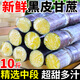 柏饞廣西黑皮甘蔗 新鮮水果當(dāng)季特產(chǎn)脆甜桿蔗果蔗整箱 黑皮甘蔗9斤裝凈重8.5斤