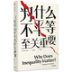 為什么不平等至關(guān)重要（見識叢書31)  中信出版社