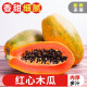 探味君 海南紅心木瓜 牛奶木瓜 新鮮水果 生鮮帶箱 9斤 凈8.5斤【超值裝】